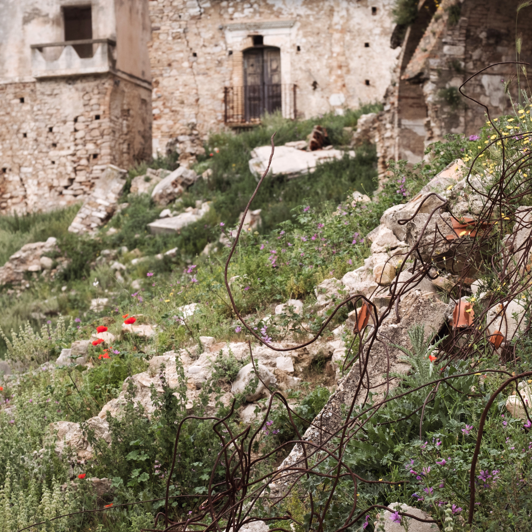 Repoto selo duhova grckaisrbija