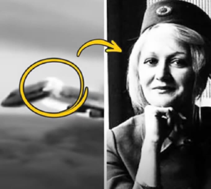 vesna vulovic biografija 1 grckaisrbija printscreen The Story Behind